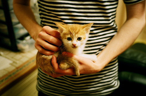 篮球联赛市场影响力提升,篮球联赛的目的