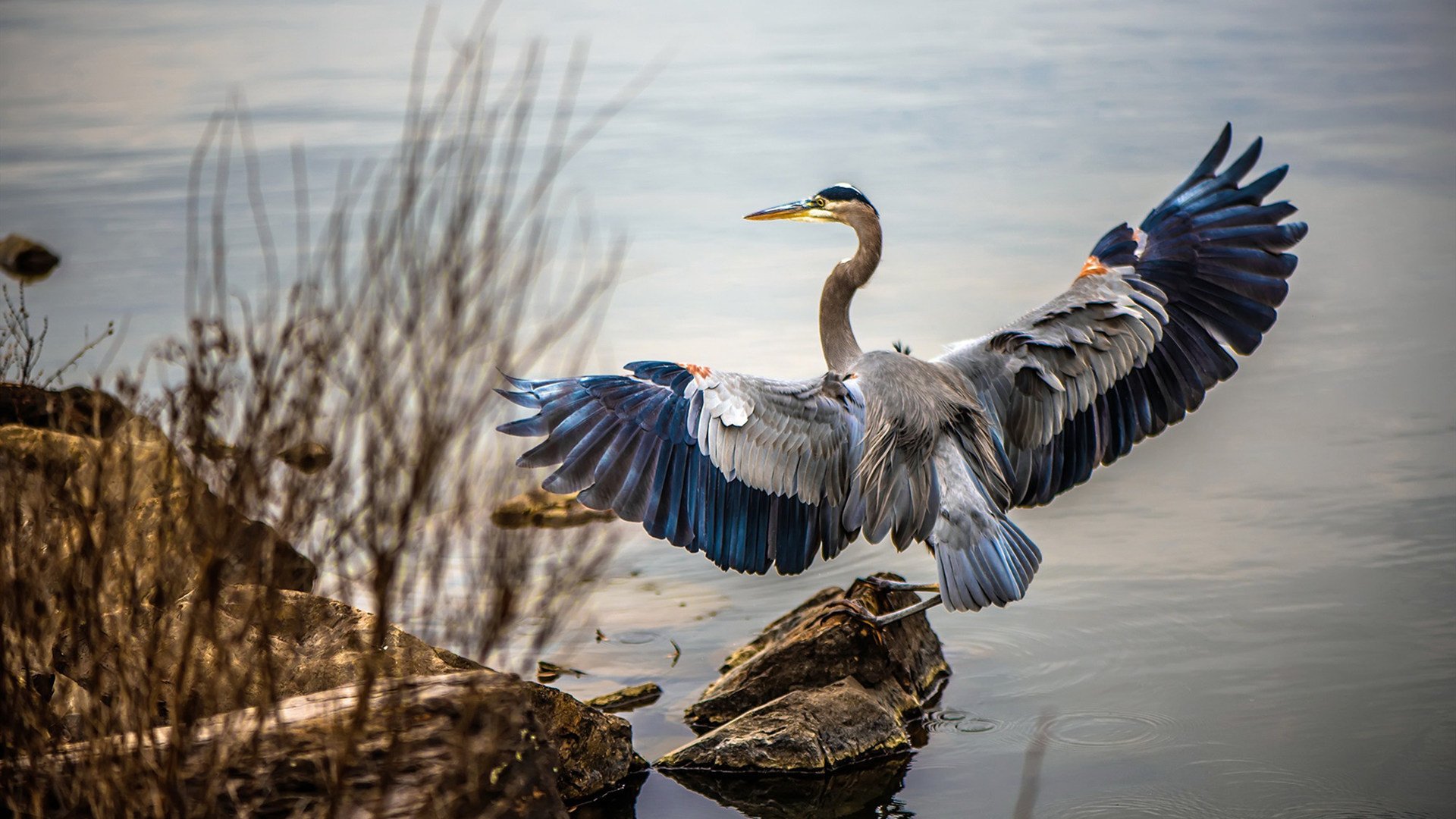 足球训练加入防摔保护技能教学内容，足球运动防护