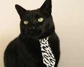 印度队在2024年国际乒联混合团体世界杯中的进步与挑战,印度世预赛